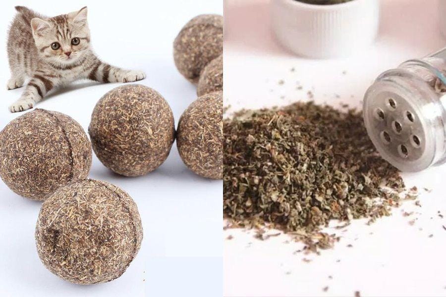 catmansworld.com & tokopedia