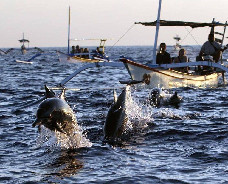 sportourism.id