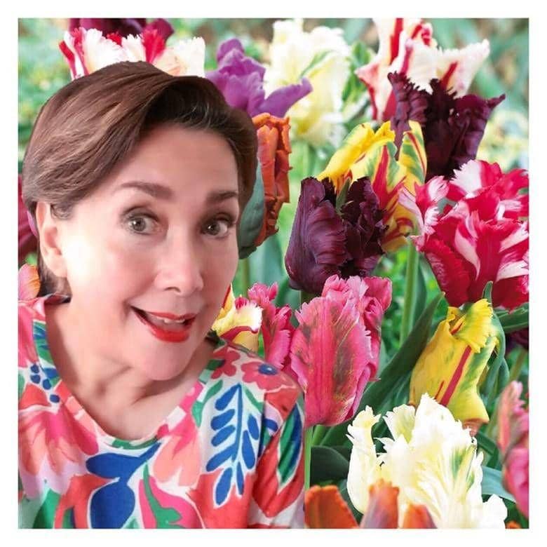 instagram.com/phandya/