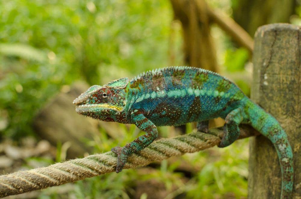 Unsplash.com/Sirma Krusteva