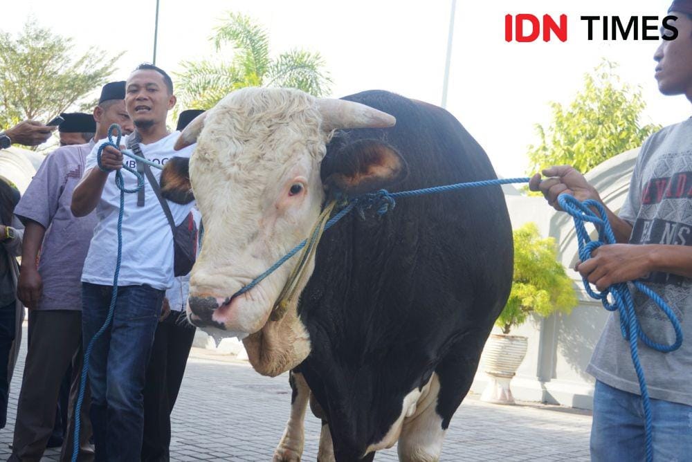 IDN Times/Tunggul Kumoro