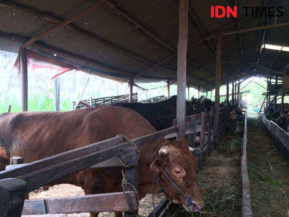 IDN Times/Yuda Almerio