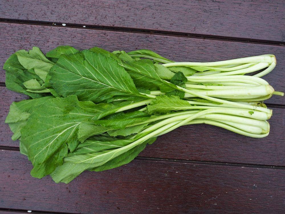 katalog.masyarakatmandiri.co.id