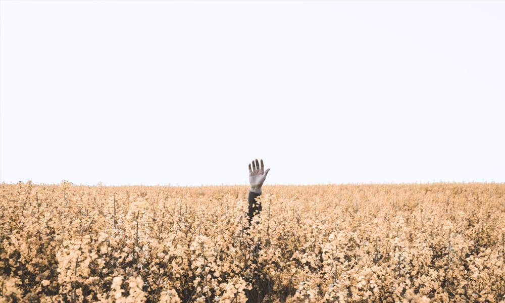 unsplash.com/Daniel Jensen