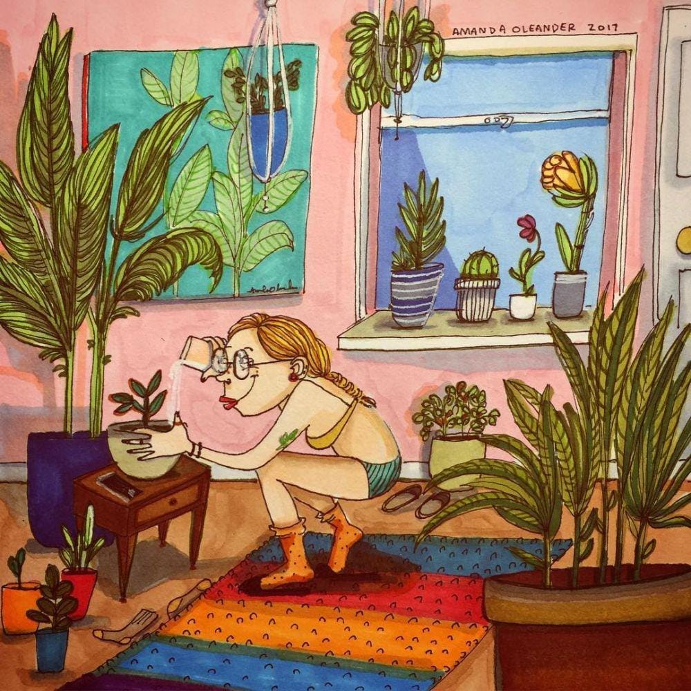 Instagram/amandaoleander