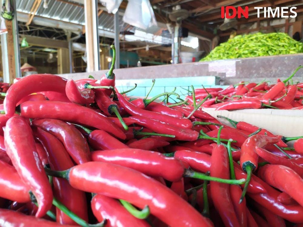 IDN Times/Fariz Fardianto