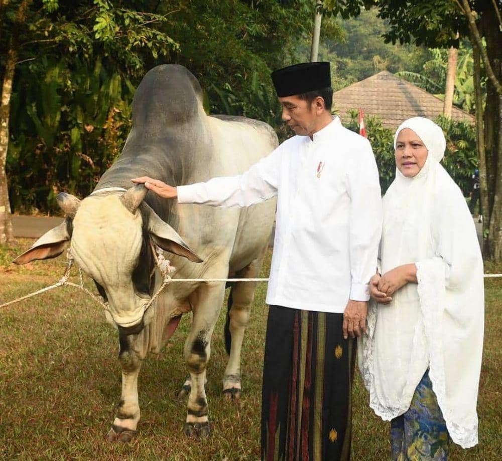 Instagram.com/jokowi