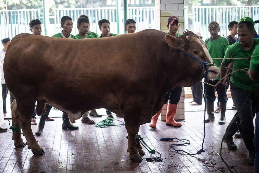 ANTARA FOTO/Aprillio Akbar