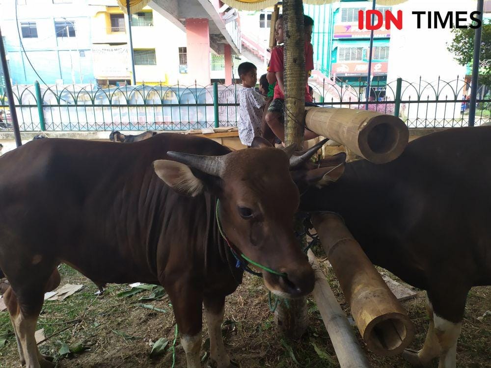 IDN Times/Feny Maulia Agustin