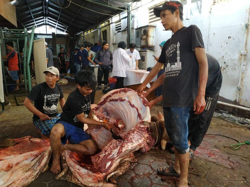 IDN Times/Debbie Sutrisno