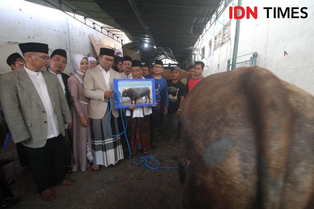 IDN Times/Yogi Pasha