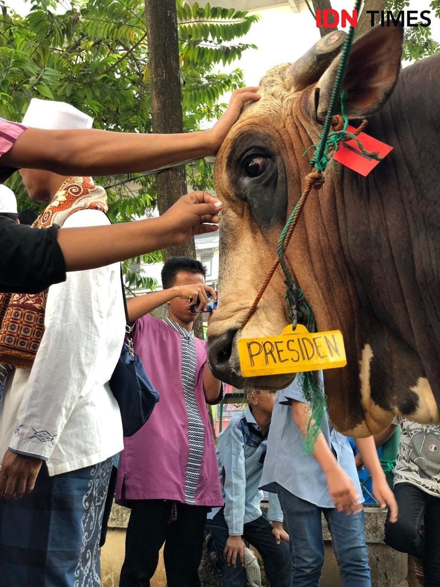 IDN Times/Rangga Erfizal