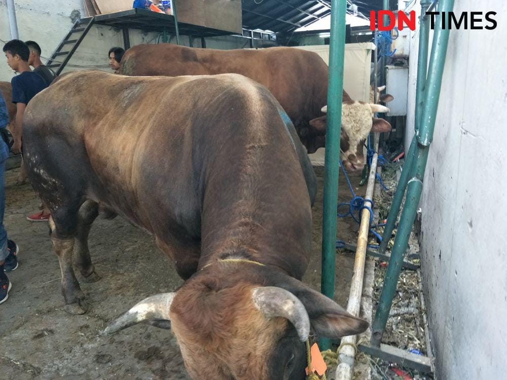 IDN Times/Yogi Pasha