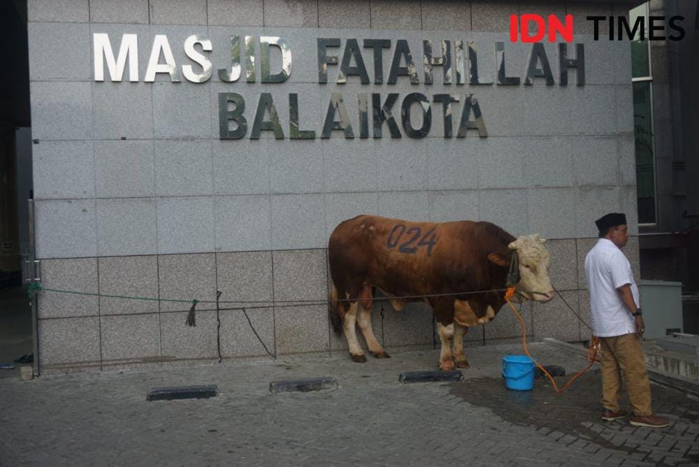 IDN Times/Gregorius Aryodamar