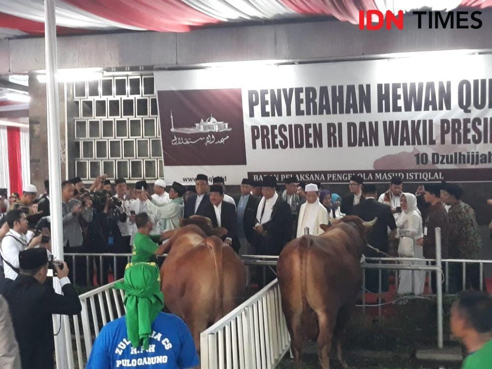 IDN Times/Indiana Malia