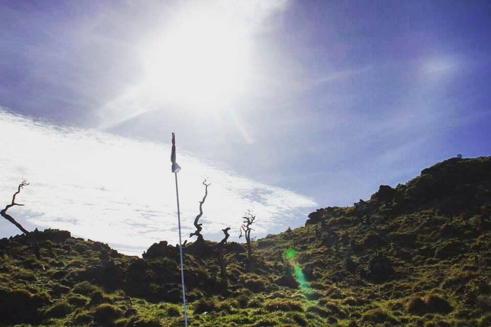 Instagram.com/damar_gondrong