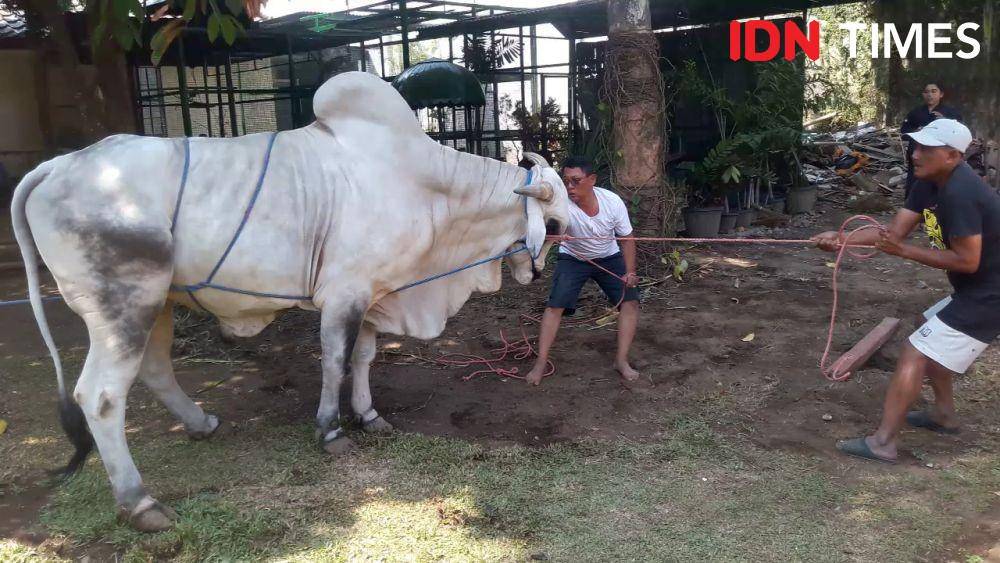 IDN Times/Tunggul Kumoro