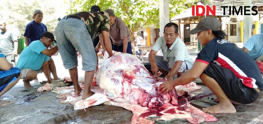 IDN Times/Daruwaskita