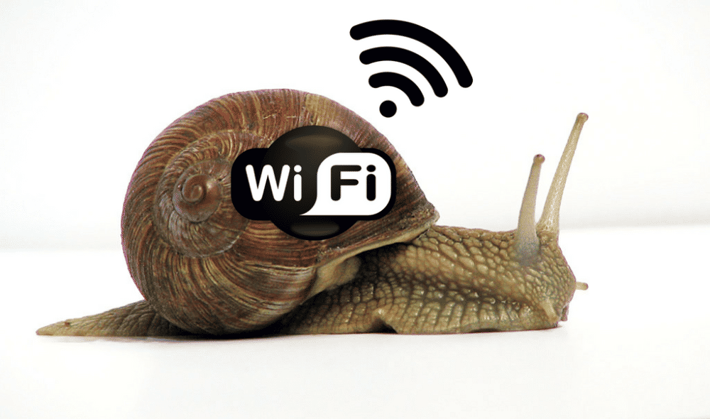 occom.com.au