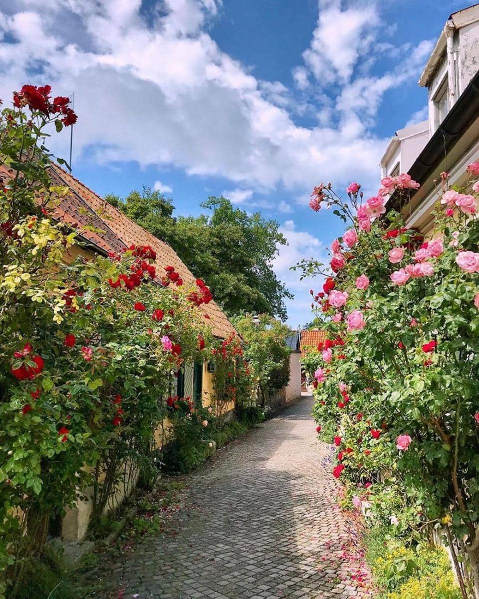 instagram.com/aniham56