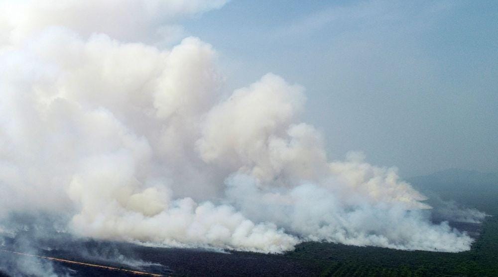 ANTARA FOTO/Rana Larasati