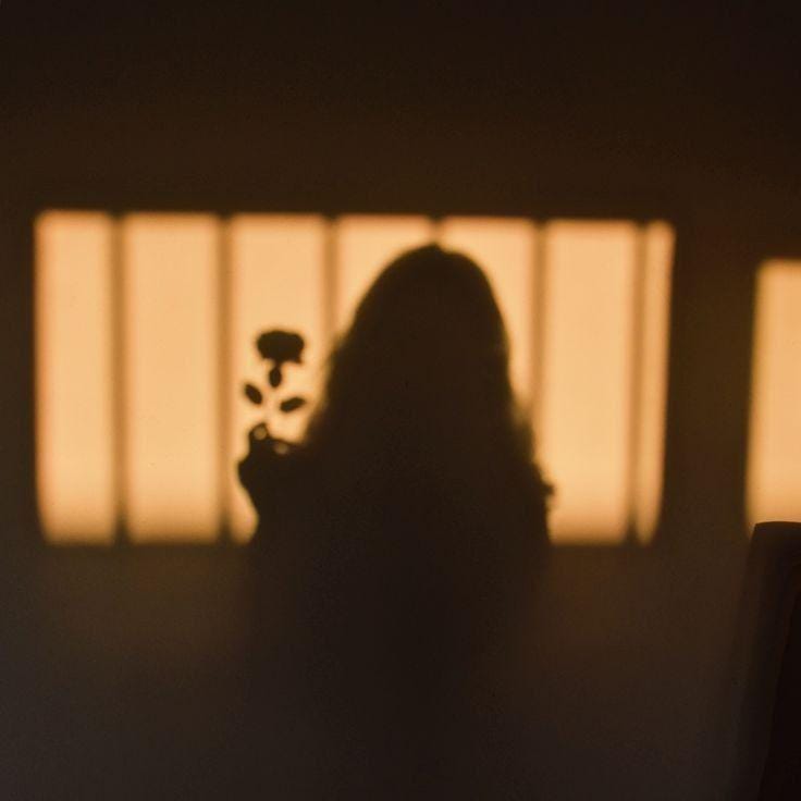 Pinterest.com/ChangBarakaty