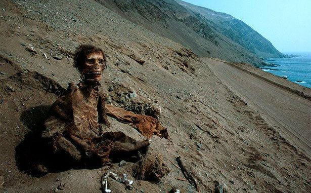 nationalgeographic.com