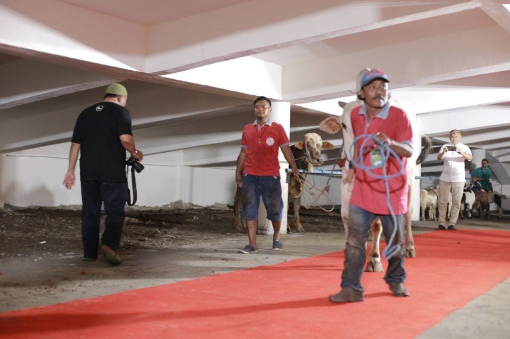 Dok.IDN Times/Istimewa