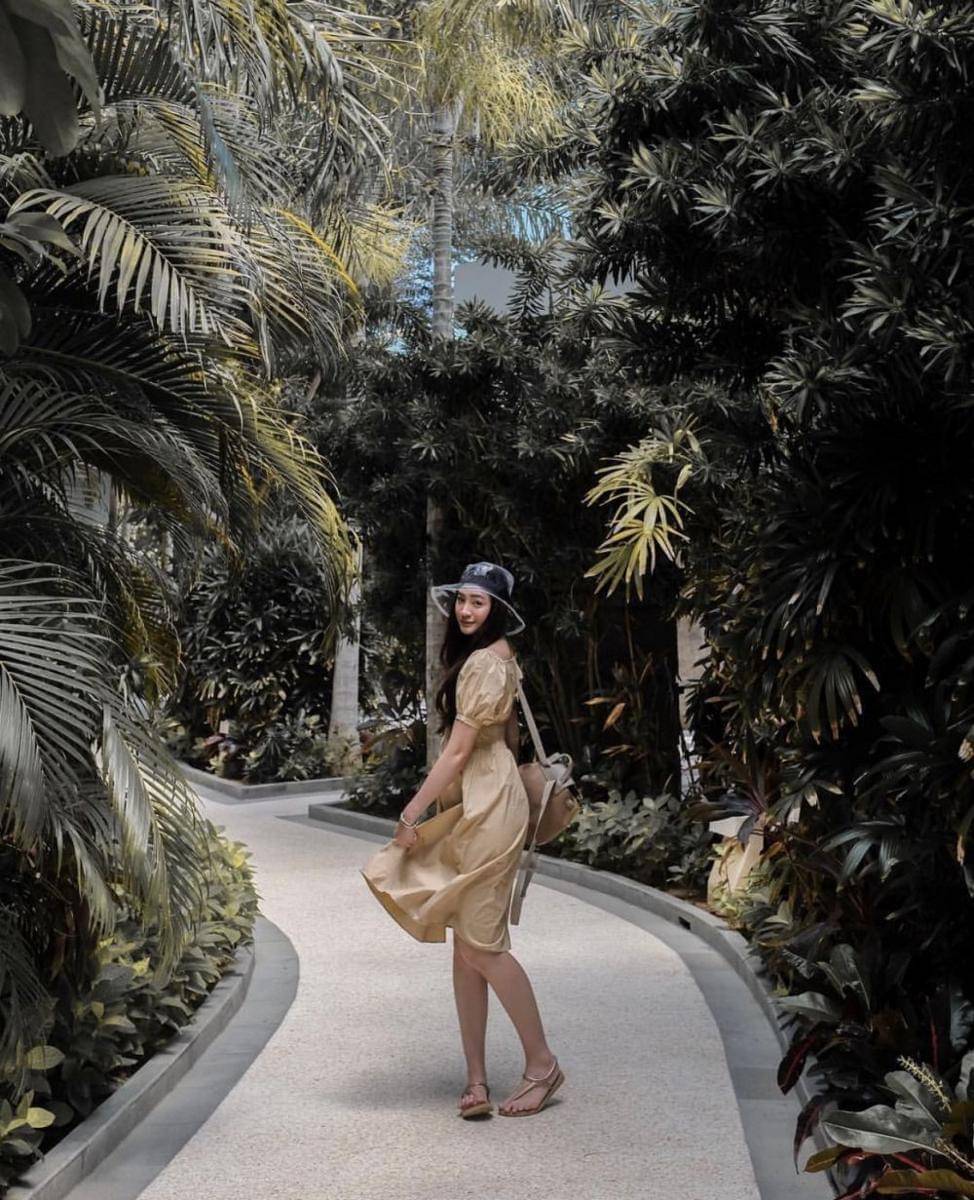 Instagram.com/pattdevdex