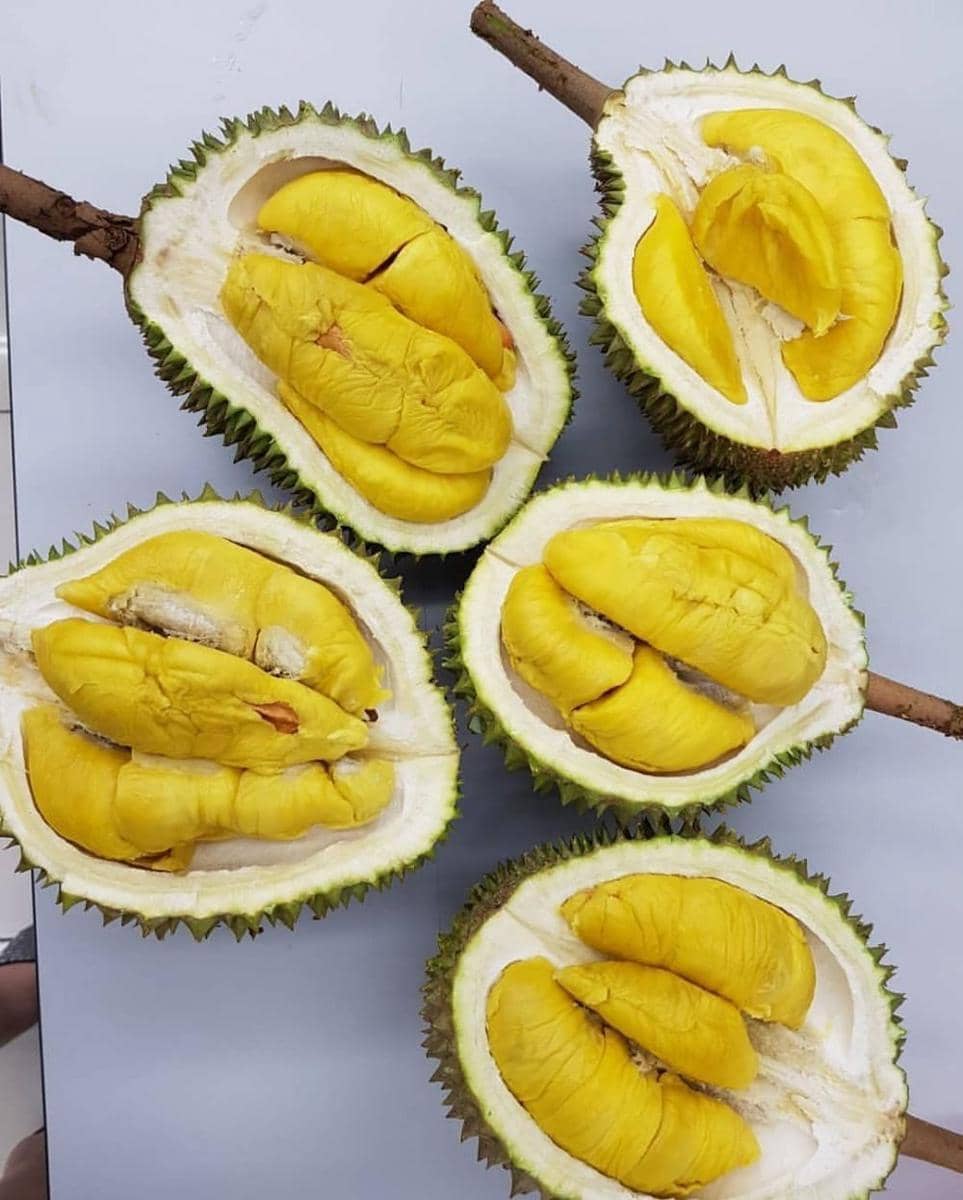 instagram.com/durian_hunter62