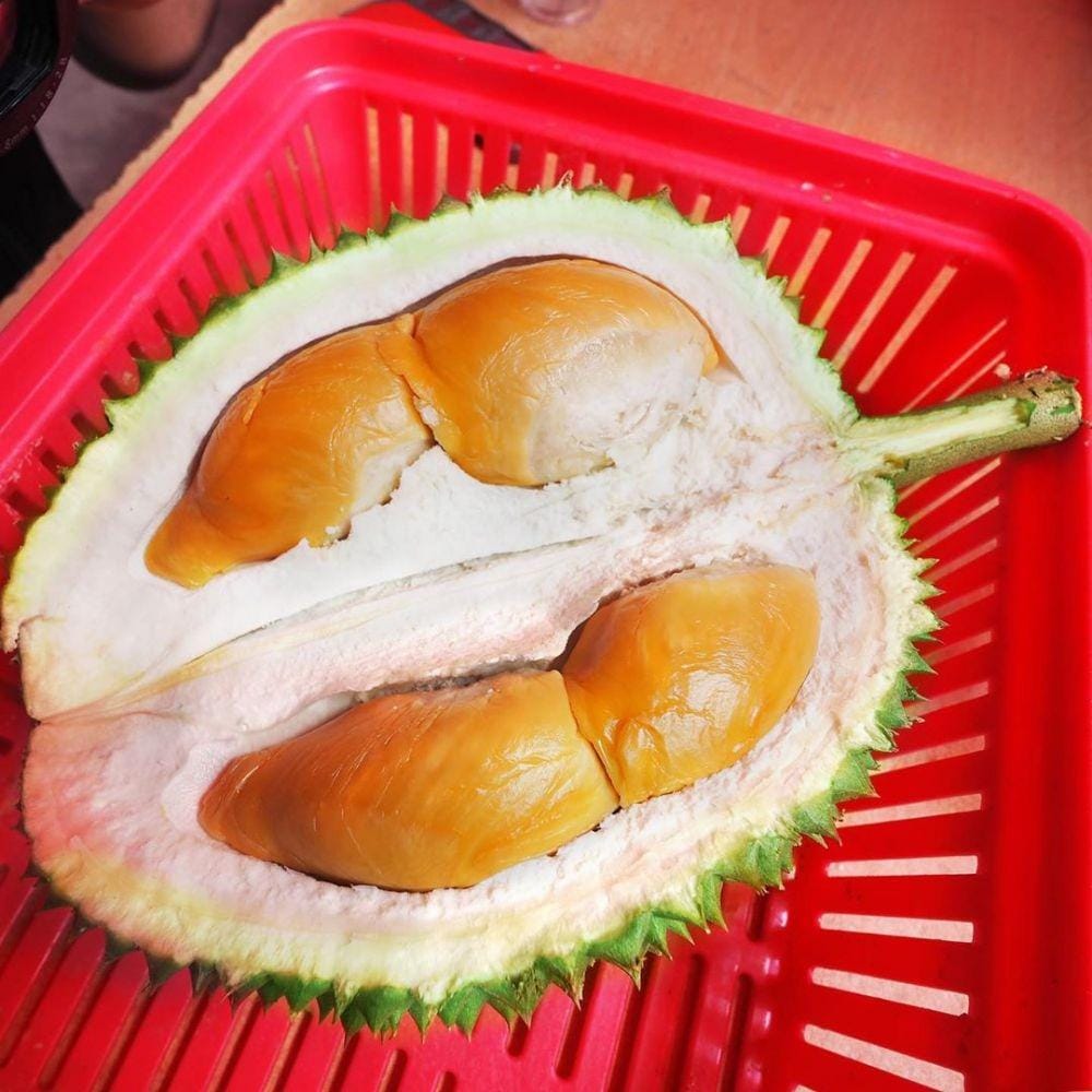 instagram.com/durianwriter