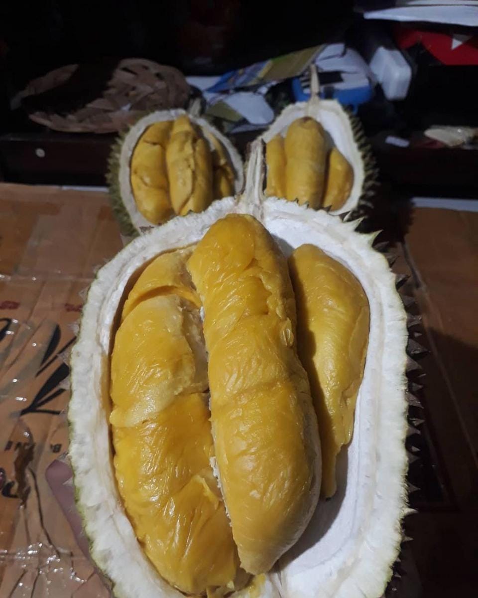 instagram.com/durian_imong