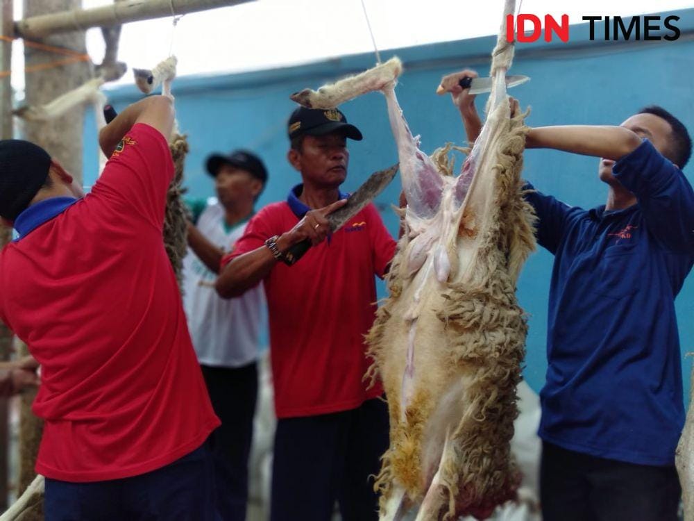 IDN Times/Daruwaskita