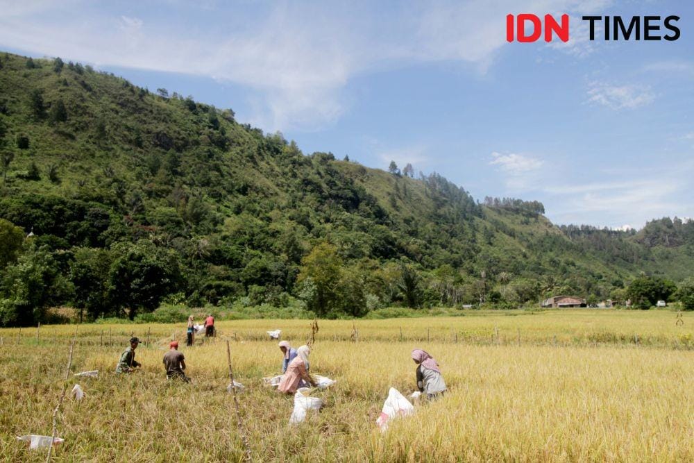 IDN Times/Prayugo Utomo