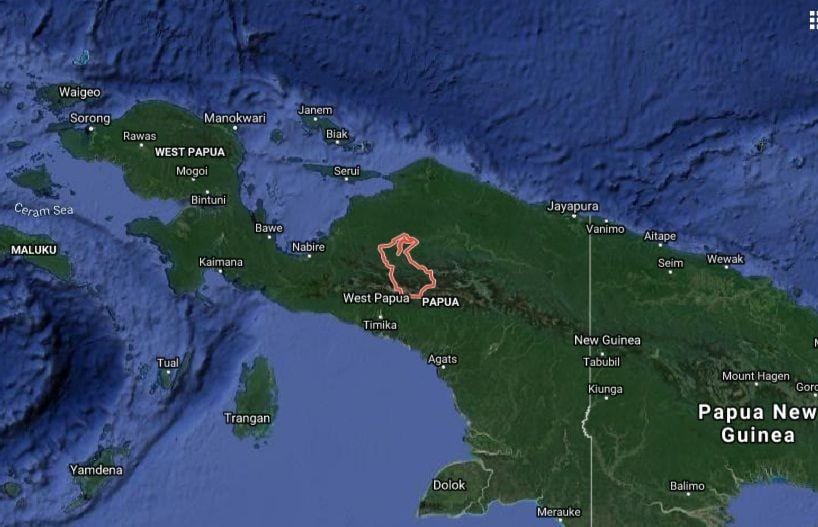 Wilayah Kabupaten Puncak, Papua (garis merah) (Google Maps)