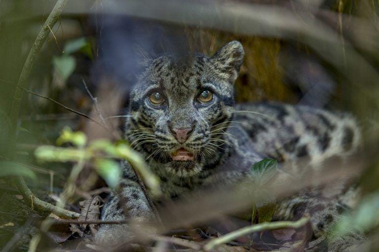 stickyricetravel.com