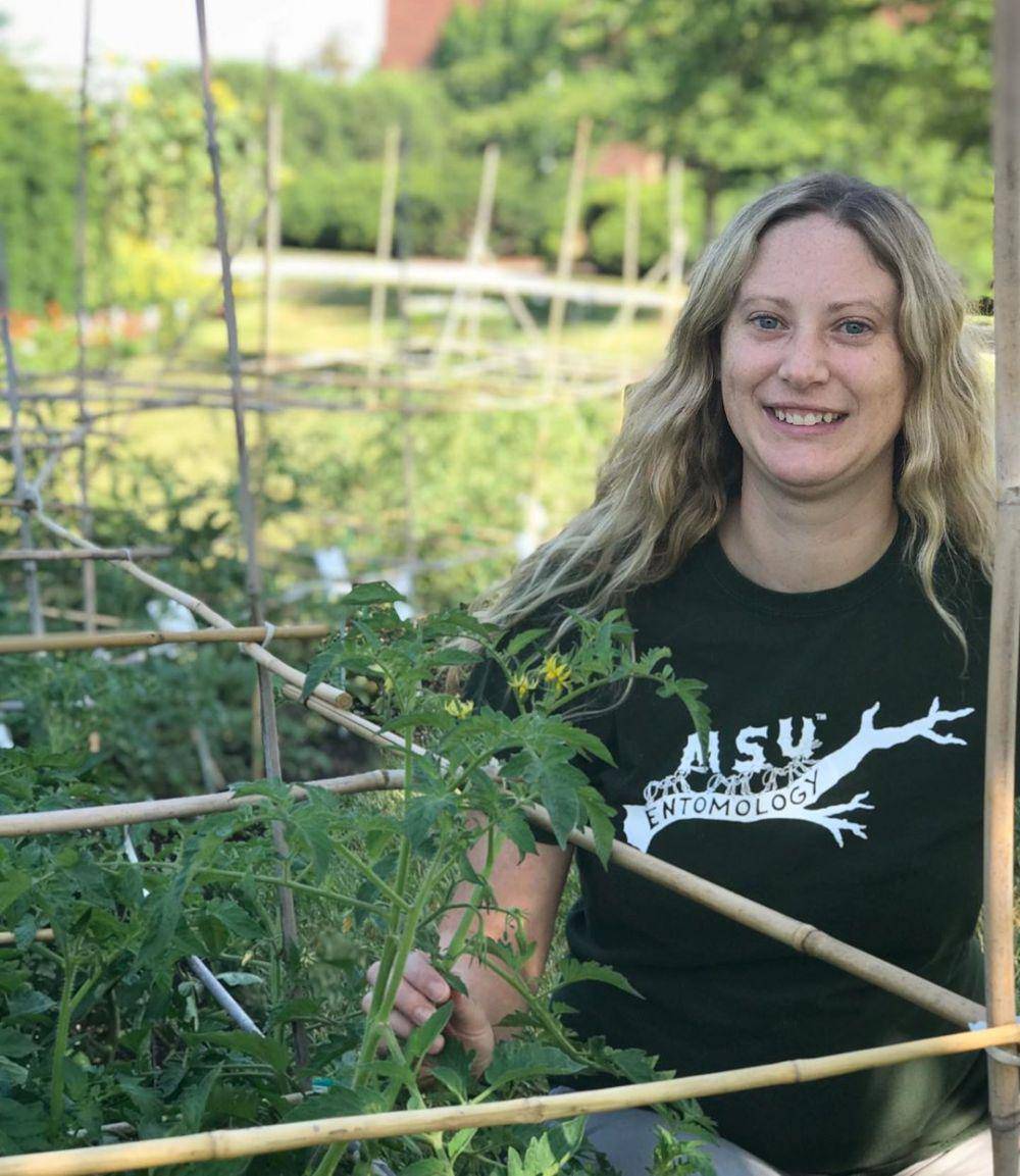 instagram.com/msuentomology