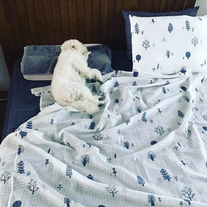 instagram.com/oohsehun