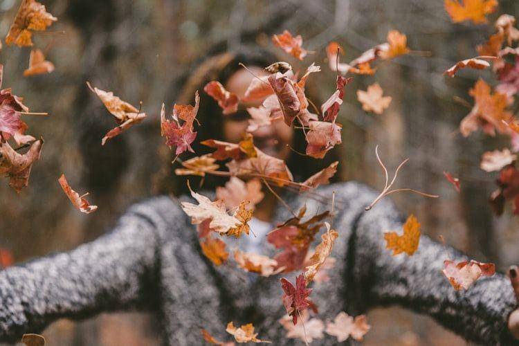 Unsplash/Jakob Owens