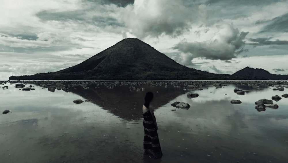 dok. LifeLike Pictures