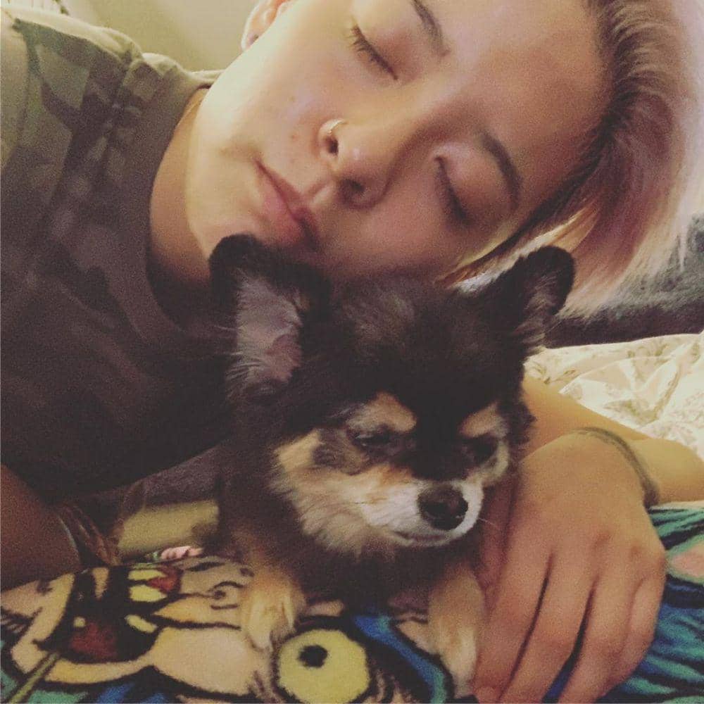 instagram.com/ajol_llama