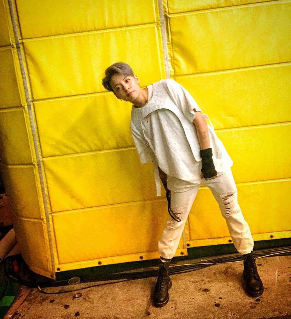 instagram.com/ajol_llama