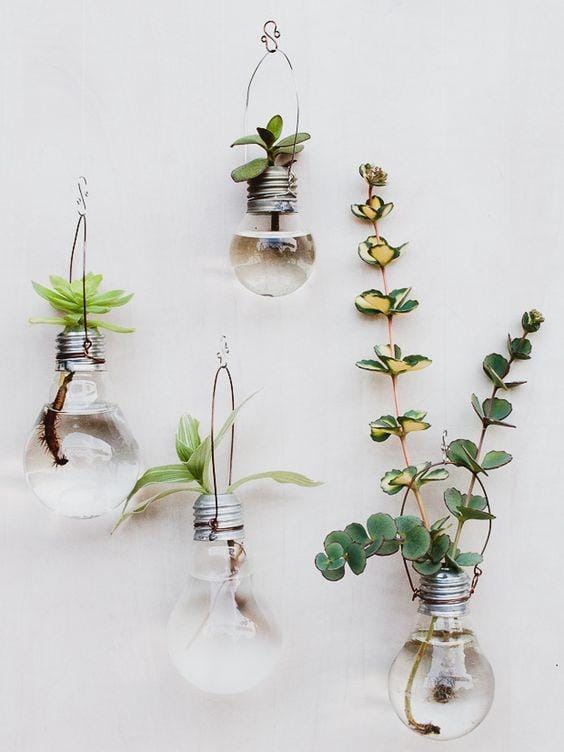 acasadelas.com/gisele baldassari