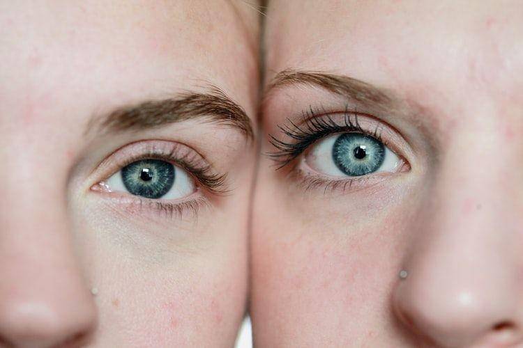 Unsplash/Sharon McCutcheon