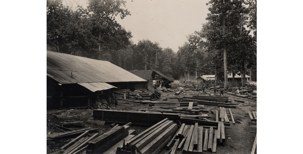 digitalcollections.universiteitleiden.nl