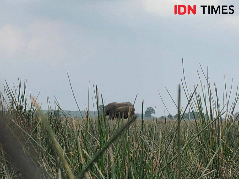 IDN Times/Rangga Erfizal