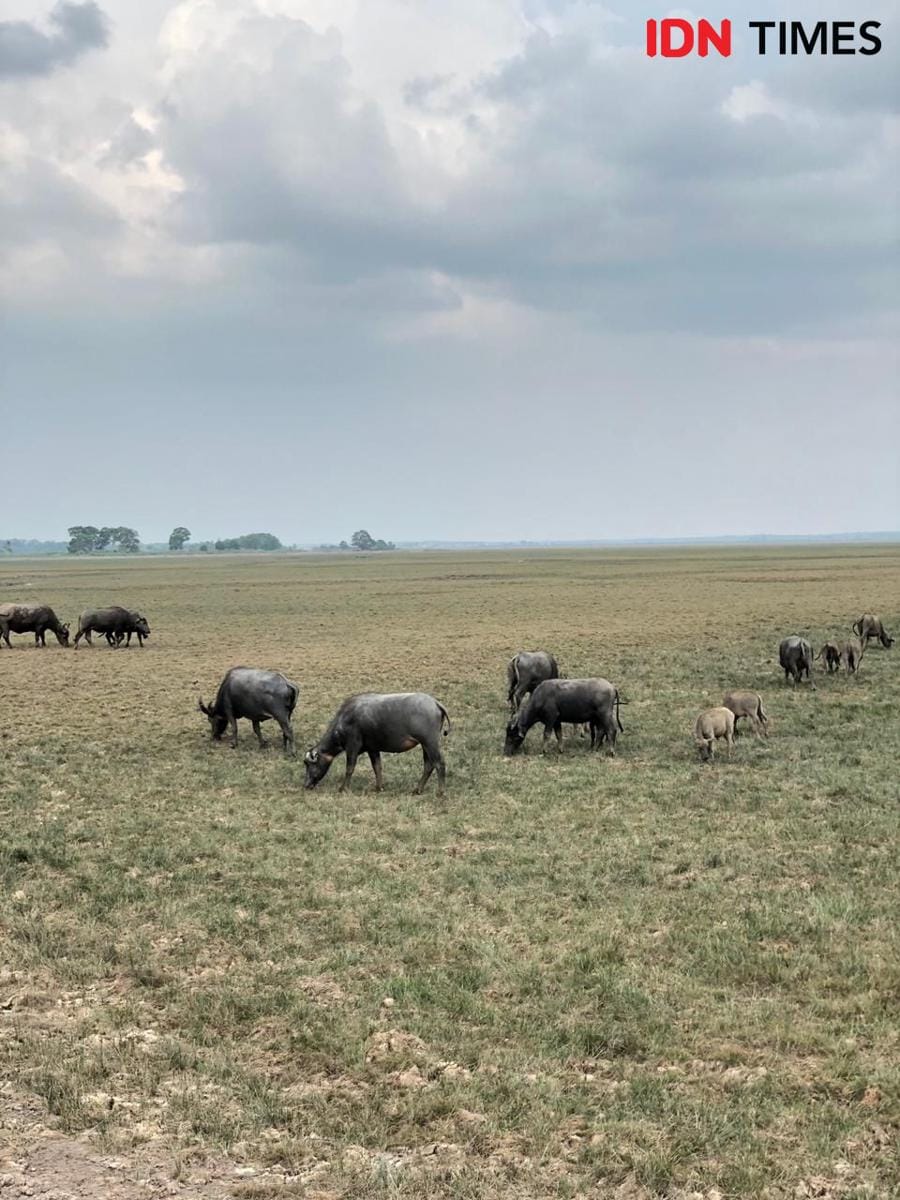 IDN Times/Rangga Erfizal