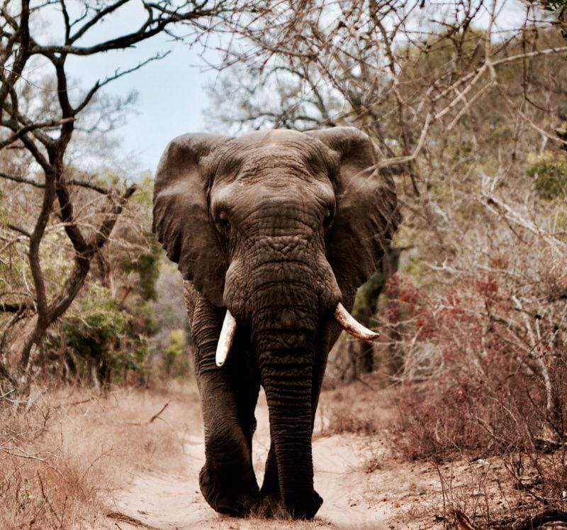 unsplash.com/Will Shirley