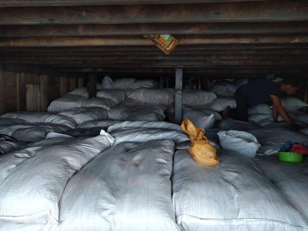 Dok.IDN Times/Istimewa