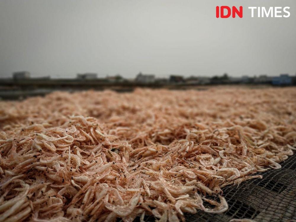 IDN Times/Udang Rebon (Axel Jo Harianja)